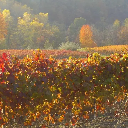 Cascina Il Ginepro Casa di campagna *